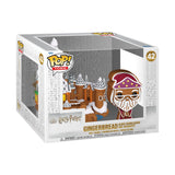 Harry Potter Gingerbread Albus Dumbledore and Hogwarts Funko Pop! Town #42